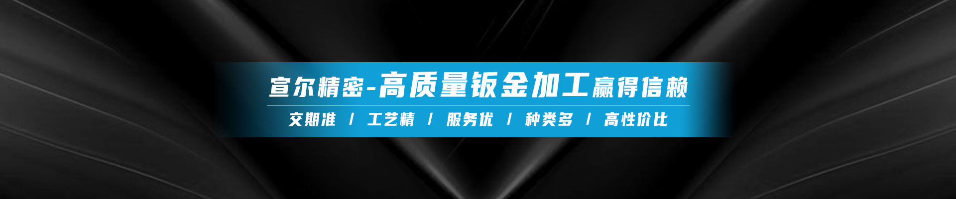 宣尔精密banner